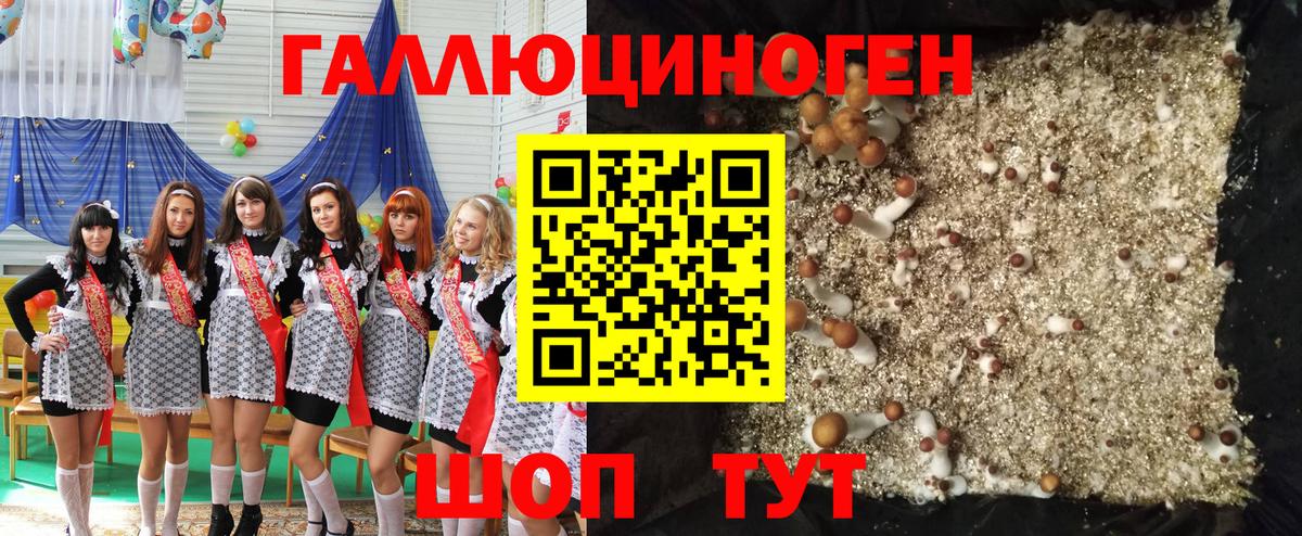 Псилоцибиновые грибы прущие грибы  Вход с VPN  Майский 